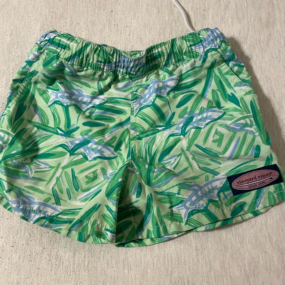 Vineyard Vines Green and Blue Kids Swim Trunks